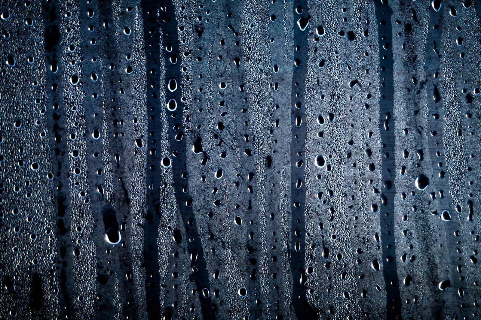 tamas kolossa glspf 3juhc unsplash